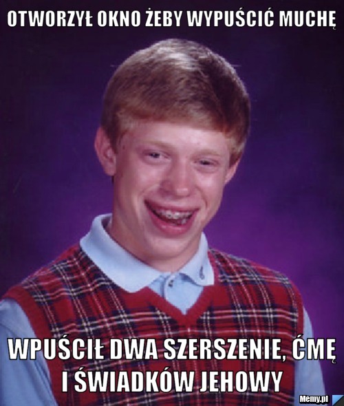 Otworzył okno żeby wypuścić muchę Wpuścił dwa szerszenie, ćmę i świadków jehowy 