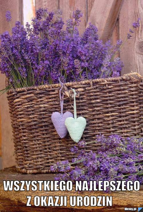  WSZYSTKIEGO NAJLEPSZEGO Z OKAZJI URODZIN   