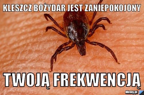 Kleszcz Bożydar jest zaniepokojony Twoją frekwencją