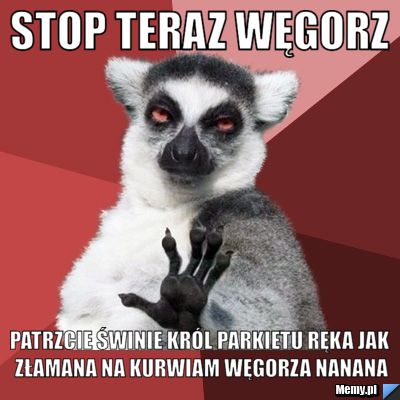 Stop teraz węgorz  patrzcie świnie król parkietu ręka jak złamana na kurwiam węgorza nanana