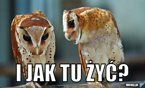  i jak tu żyć?