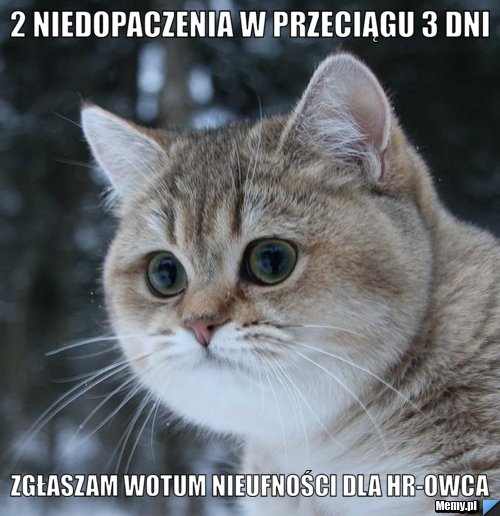 2 niedopaczenia w przeciągu 3 dni zgłaszam wotum nieufności dla HR-owca