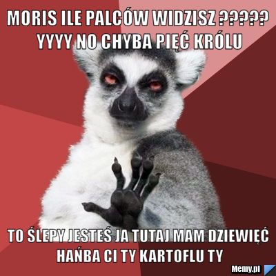 Moris ile palc&oacute;w widzisz ????? yyyy no chyba pięć kr&oacute;lu to ślepy jesteś ja tutaj mam dziewięć hańba ci ty kartoflu ty