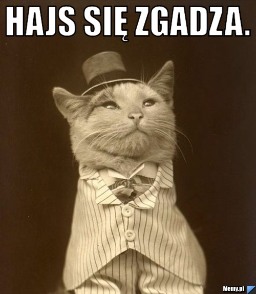 Hajs się zgadza. 