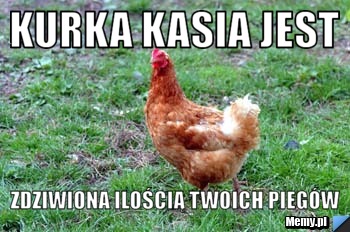 Kurka kasia jest zdziwiona ilością twoich piegów