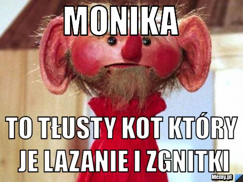 Monika to tłusty kot który je lazanie i zgnitki