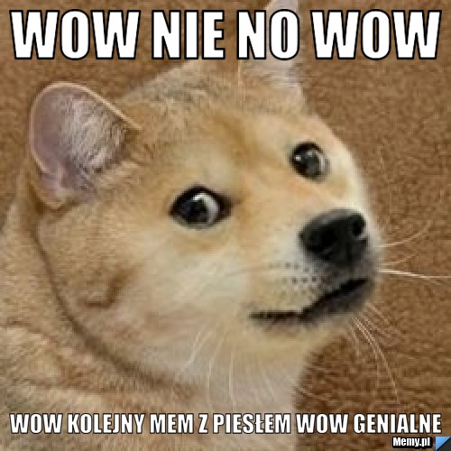 Wow nie no wow wow kolejny mem z piesłem wow genialne