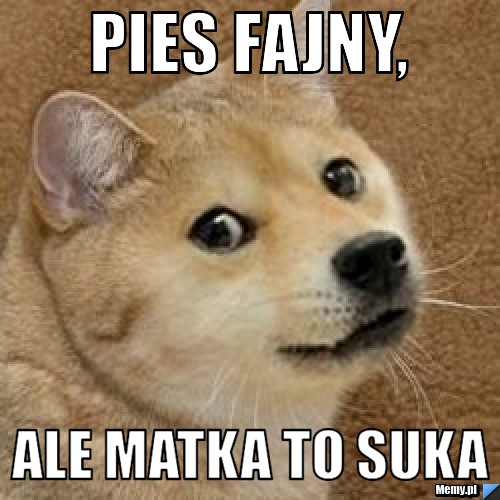 Pies fajny, ale matka to suka