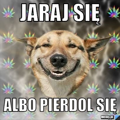 Jaraj się  albo pierdol się