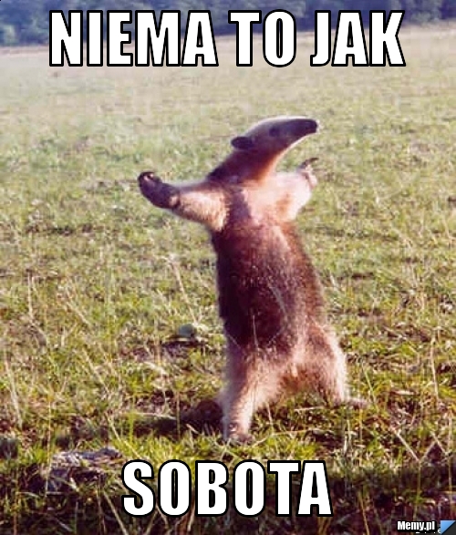 Niema to jak  sobota