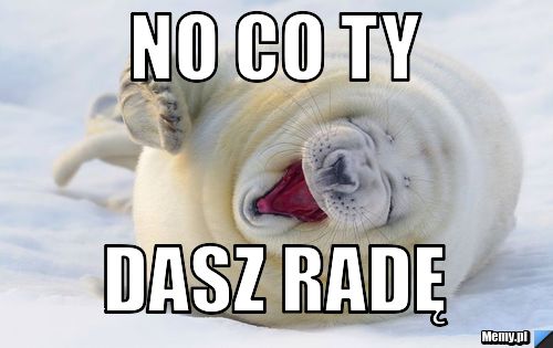 No co ty dasz radę
