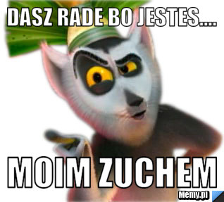 Dasz rade bo jestes.... Moim Zuchem