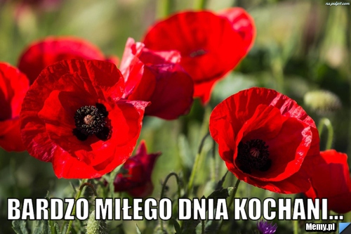  bardzo miłego dnia kochani...
