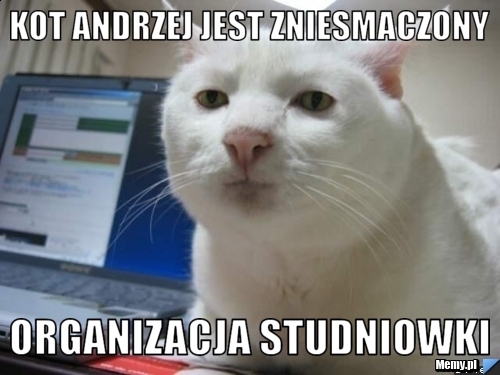 Kot andrzej jest zniesmaczony organizacja studniowki 