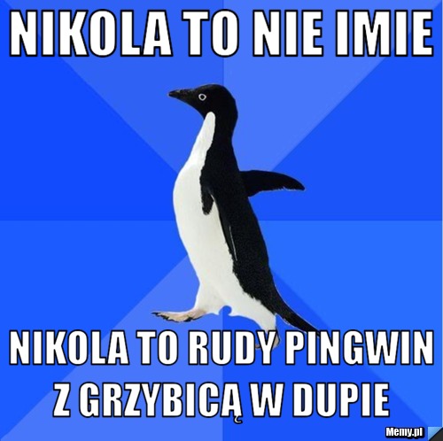 NIKOLA TO NIE IMIE  NIKOLA TO RUDY PINGWIN Z GRZYBICĄ W DUPIE 