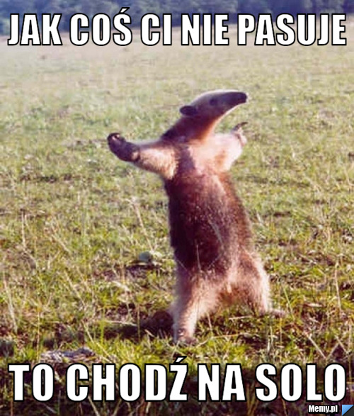 Jak coś ci nie pasuje to chodź na solo