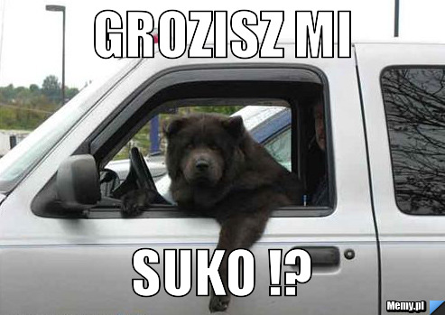 Grozisz mi suko !?