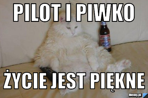 Pilot i piwko życie jest piękne