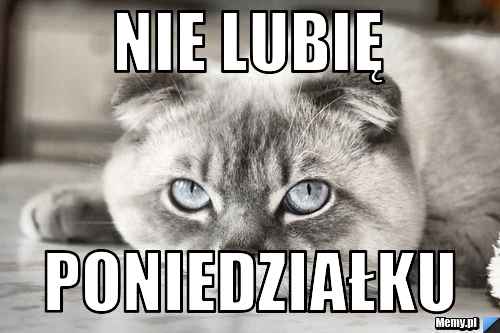 Nie lubię poniedziałku