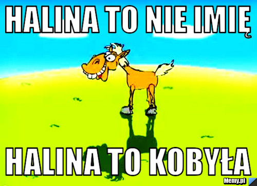 HALINA TO NIE IMIĘ HALINA TO KOBYŁA
