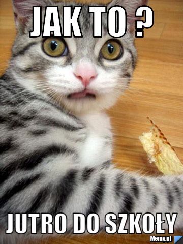 Jak to ? Jutro do szkoły