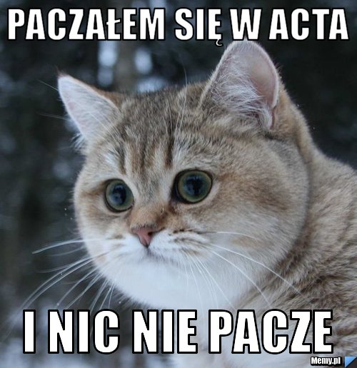  Paczałem się w ACTA  i nic nie pacze