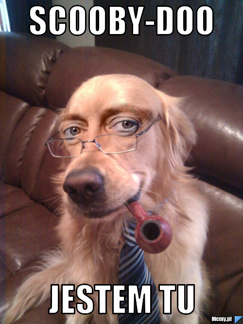 Scooby-Doo Jestem tu