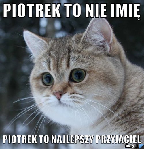 Piotrek to nie imię piotrek to najlepszy przyjaciel