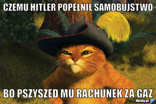 Czemu hitler popełnił samobujstwo bo pszyszed mu rachunek za gaz