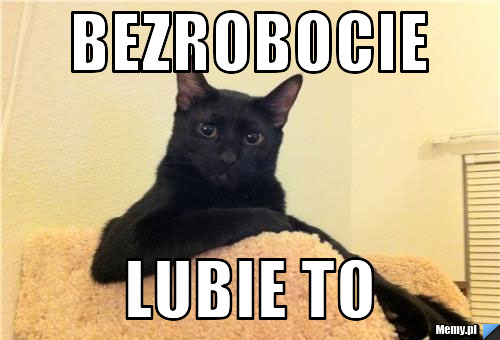 Bezrobocie Lubie to