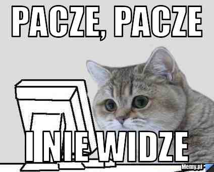 Pacze, pacze i nie widze