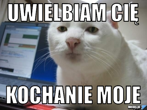 Uwielbiam Cię Kochanie Moje