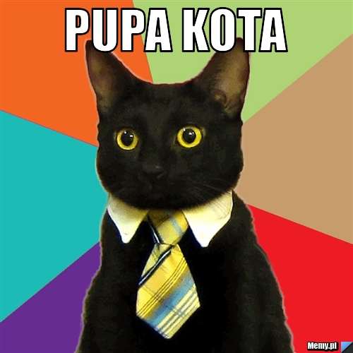 Pupa kota 