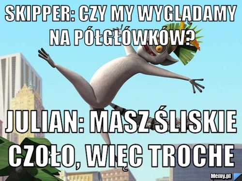 Skipper: czy my wyglądamy na półgłówków?  julian: Masz śliskie czoło, więc troche