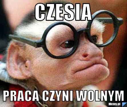 Czesia   praca czyni wolnym