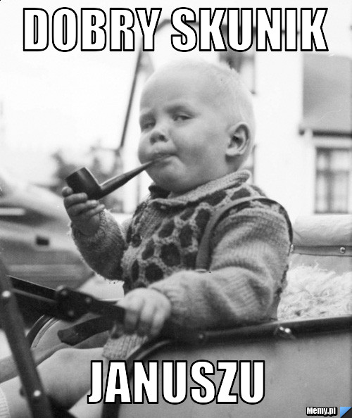 Dobry skunik januszu