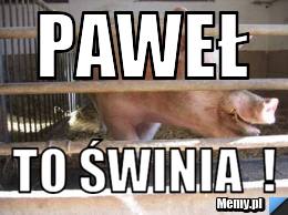 Paweł to świnia  !