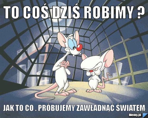 To coś dziś robimy ? Jak to co . Próbujemy zawładnąć światem