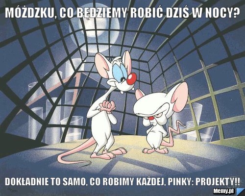 Móżdzku, co będziemy robić dziś w nocy? Dokładnie to samo, co robimy każdej, Pinky: projekty!!