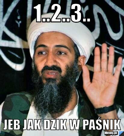 1..2..3..  JEB jak dzik w paśnik 