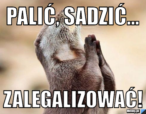 Palić, sadzić... zalegalizować! 