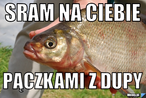 Sram na Ciebie Pączkami z dupy 