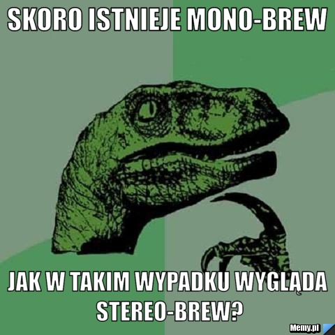 Skoro istnieje mono-brew Jak w takim wypadku wygląda stereo-brew?