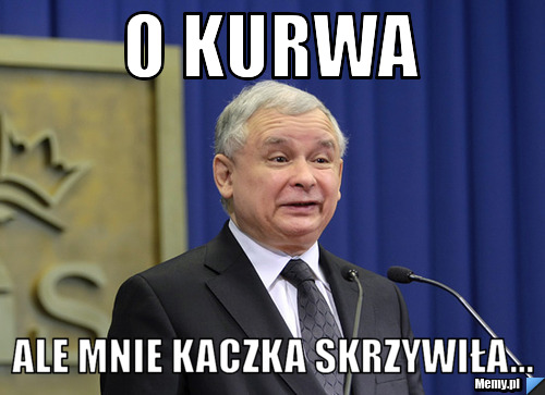 O kurwa ale mnie Kaczka Skrzywiła...