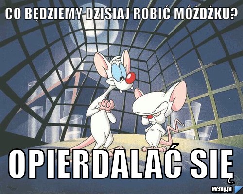 Co będziemy dzisiaj robić móżdżku? Opierdalać się