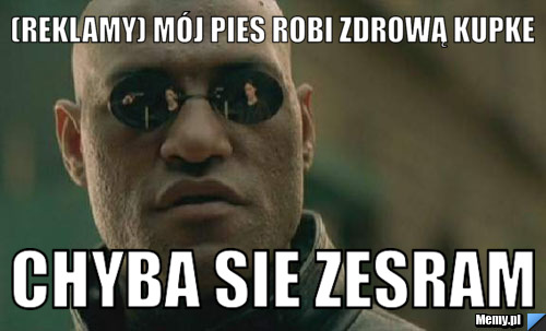 (reklamy) mój pies robi zdrową kupke chyba sie zesram