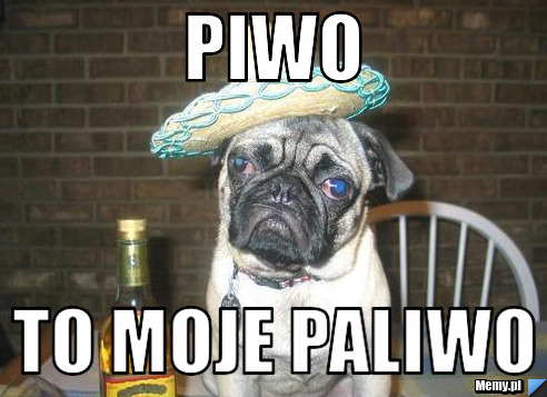 Piwo to moje paliwo