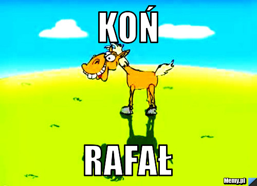 Koń  Rafał