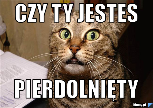 Czy ty jestes pierdolnięty