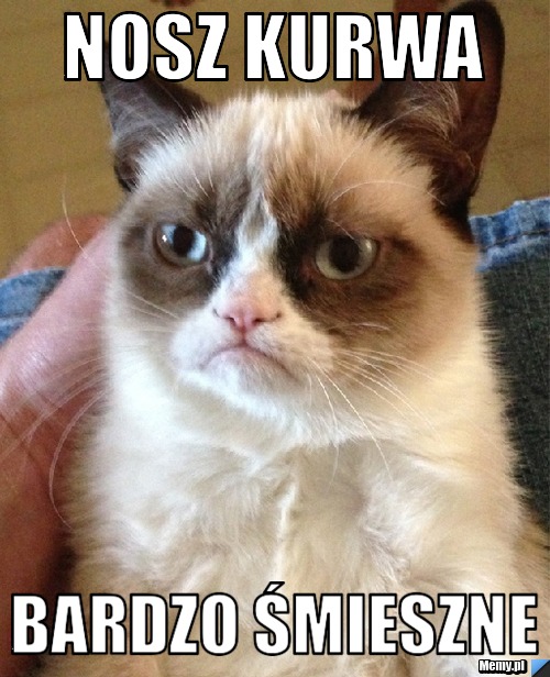 Nosz kurwa bardzo śmieszne